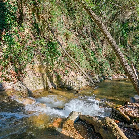 Cal Metge De Gualba Casa vacanze Gualba de Dalt